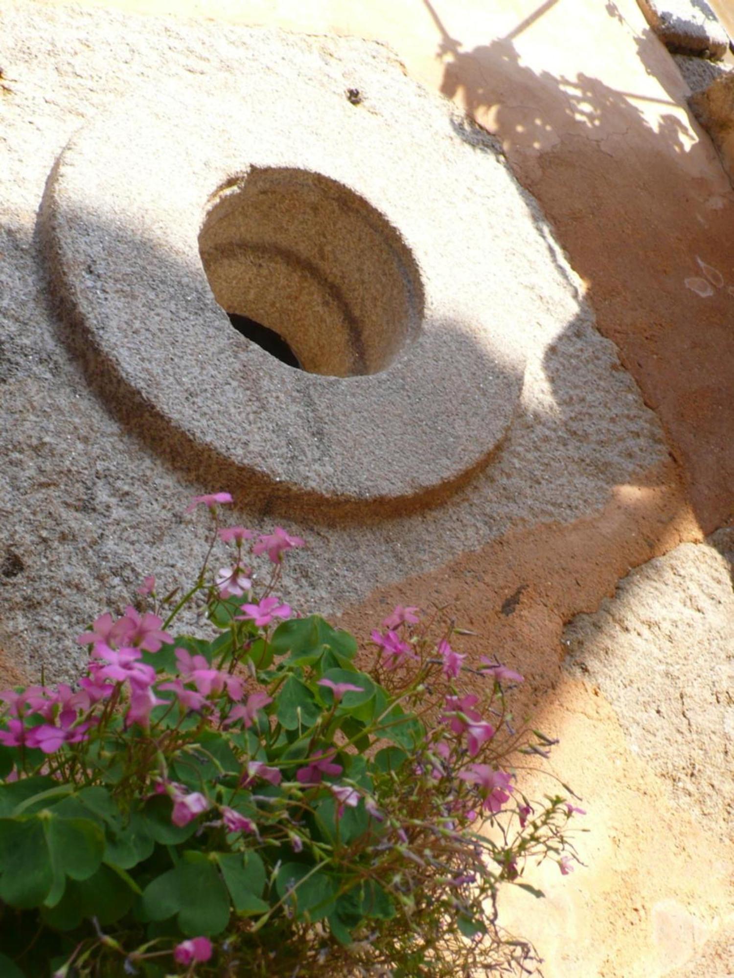 Casa Da Ti Cura Guest House Atenor Ngoại thất bức ảnh